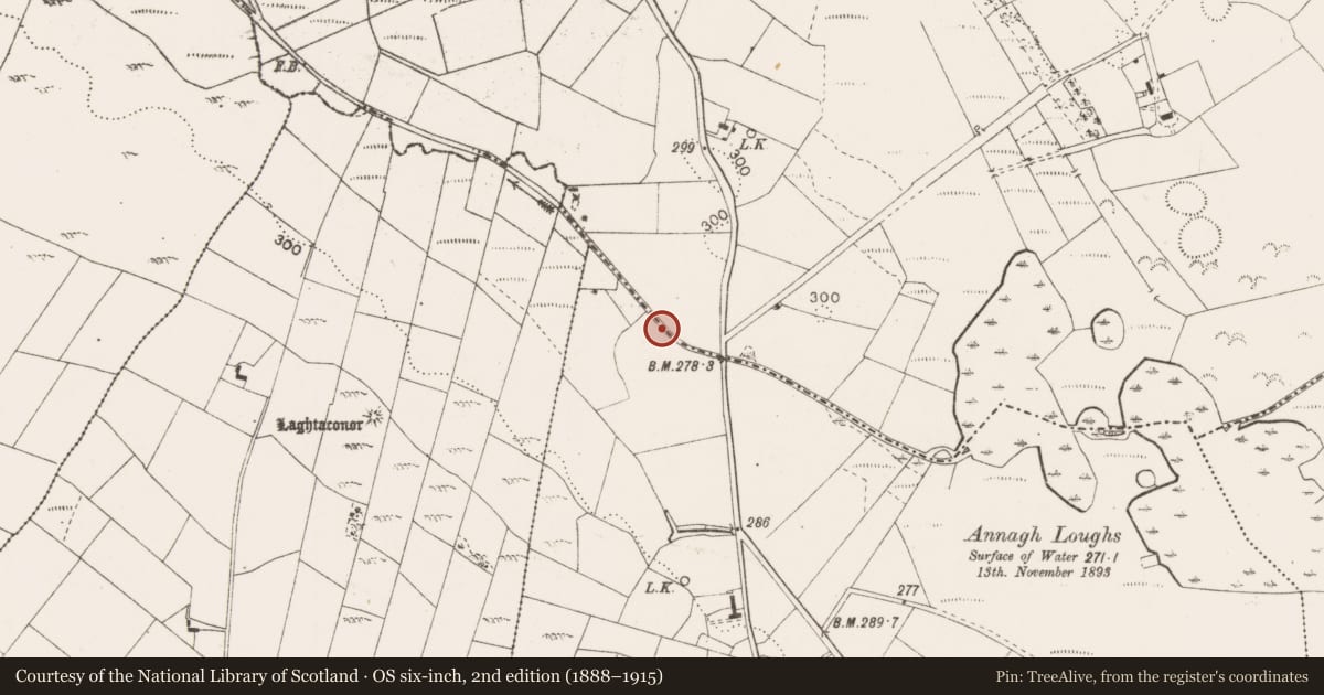 Ordnance Survey six-inch map, 2nd edition (1888–1915) covering the location of Bridge, Tooraree, County Mayo, with a pin at the register's coordinates