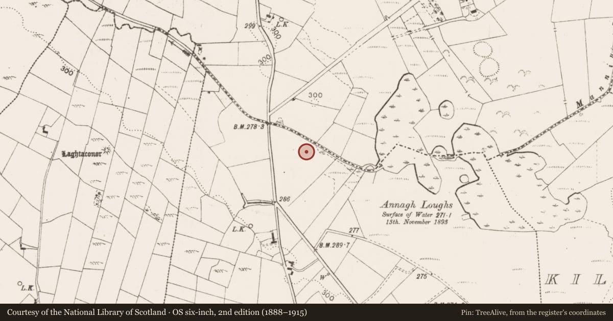 Ordnance Survey six-inch map, 2nd edition (1888–1915) covering the location of Burnt mound, Tooraree, County Mayo, with a pin at the register's coordinates