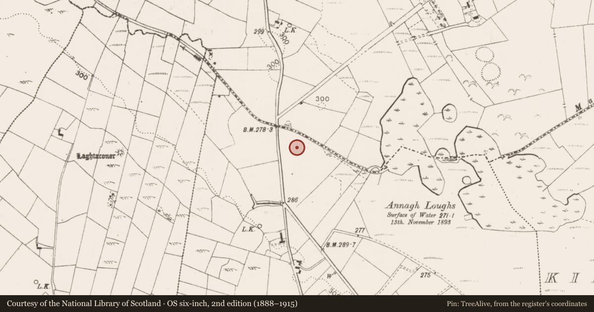 Ordnance Survey six-inch map, 2nd edition (1888–1915) covering the location of Fulacht fia, Tooraree, County Mayo, with a pin at the register's coordinates