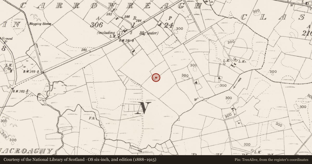 Ordnance Survey six-inch map, 2nd edition (1888–1915) covering the location of Ringfort - rath, Carrowreagh, County Mayo, with a pin at the register's coordinates