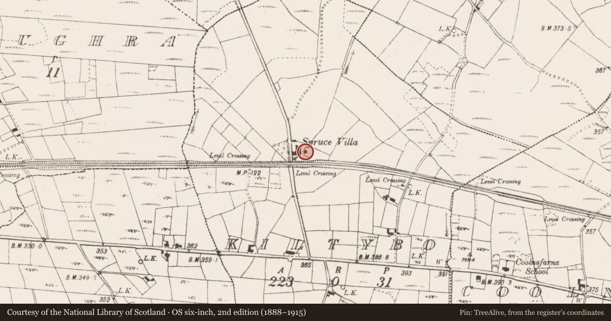 Ordnance Survey six-inch map, 2nd edition (1888–1915) covering the location of Ringfort - unclassified, Kiltybo, County Mayo, with a pin at the register's coordinates