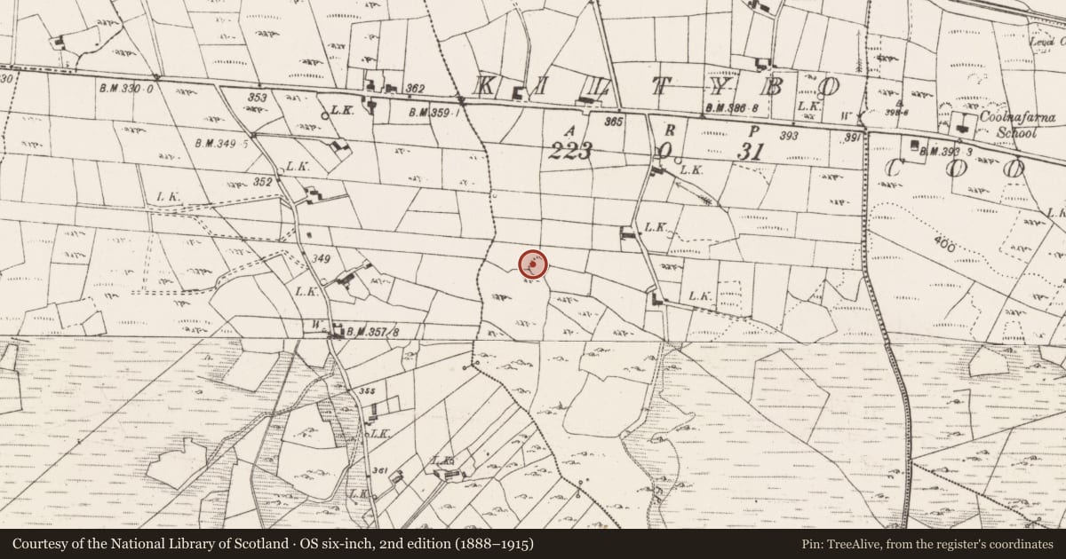 Ordnance Survey six-inch map, 2nd edition (1888–1915) covering the location of Ringfort - cashel, Kiltybo, County Mayo, with a pin at the register's coordinates