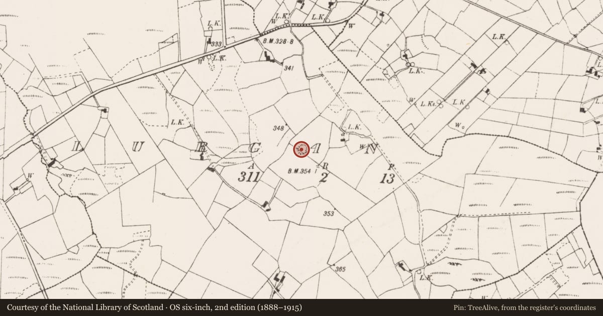 Ordnance Survey six-inch map, 2nd edition (1888–1915) covering the location of Ringfort - cashel, Lurgan (Costello By., Annagh Par.), County Mayo, with a pin at the register's coordinates