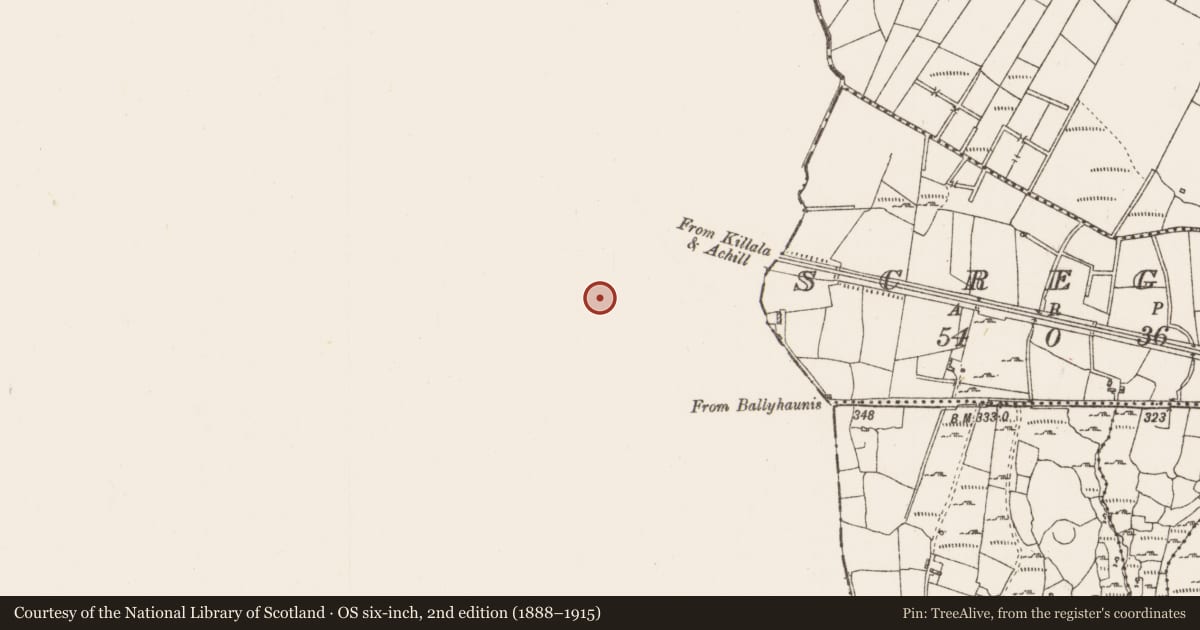 Ordnance Survey six-inch map, 2nd edition (1888–1915) covering the location of Souterrain, Coolnafarna, County Mayo, with a pin at the register's coordinates