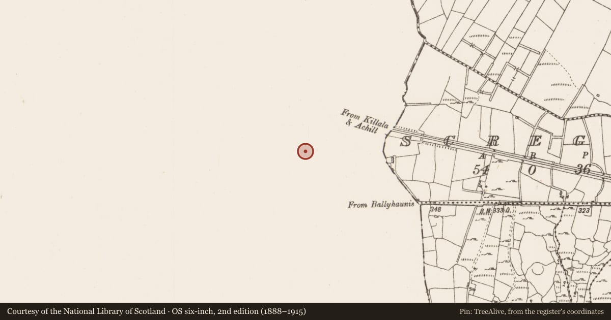 Ordnance Survey six-inch map, 2nd edition (1888–1915) covering the location of Ringfort - cashel, Coolnafarna, County Mayo, with a pin at the register's coordinates