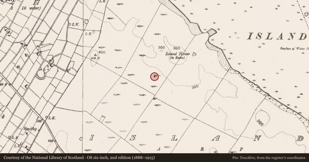 Ordnance Survey six-inch map, 2nd edition (1888–1915) covering the location of Ringfort - unclassified, Island, County Mayo, with a pin at the register's coordinates