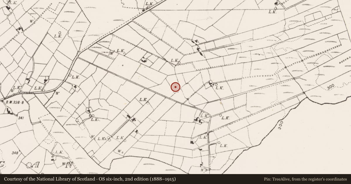 Ordnance Survey six-inch map, 2nd edition (1888–1915) covering the location of Souterrain, Killunagher, County Mayo, with a pin at the register's coordinates