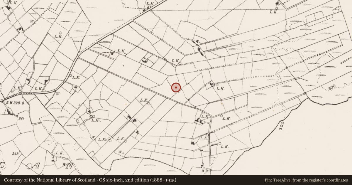 Ordnance Survey six-inch map, 2nd edition (1888–1915) covering the location of Children's burial ground, Killunagher, County Mayo, with a pin at the register's coordinates