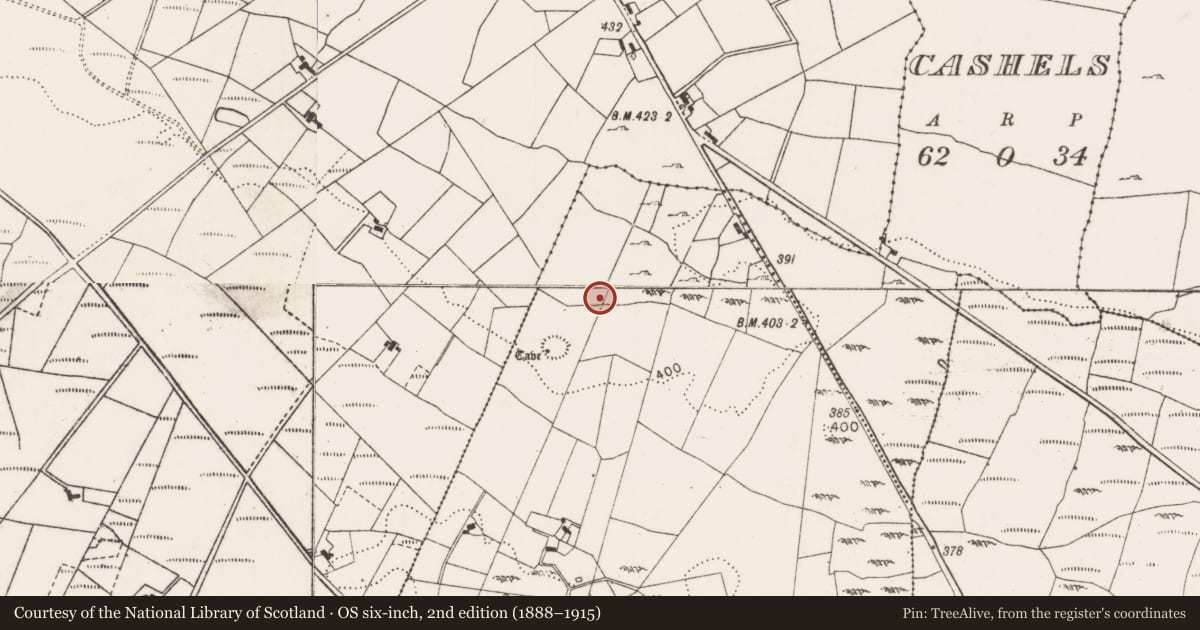 Ordnance Survey six-inch map, 2nd edition (1888–1915) covering the location of House - indeterminate date, Carrowneden (Costello By., Aghamore Par.), County Mayo, with a pin at the register's coordinates