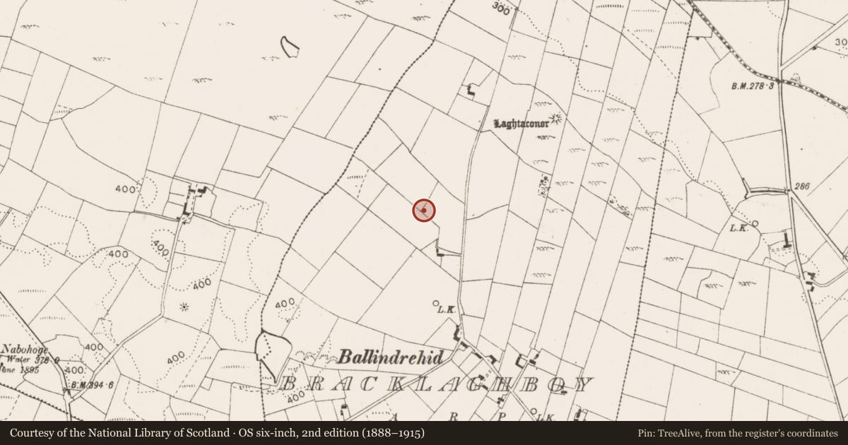 Ordnance Survey six-inch map, 2nd edition (1888–1915) covering the location of Burial mound, Bracklaghboy, County Mayo, with a pin at the register's coordinates