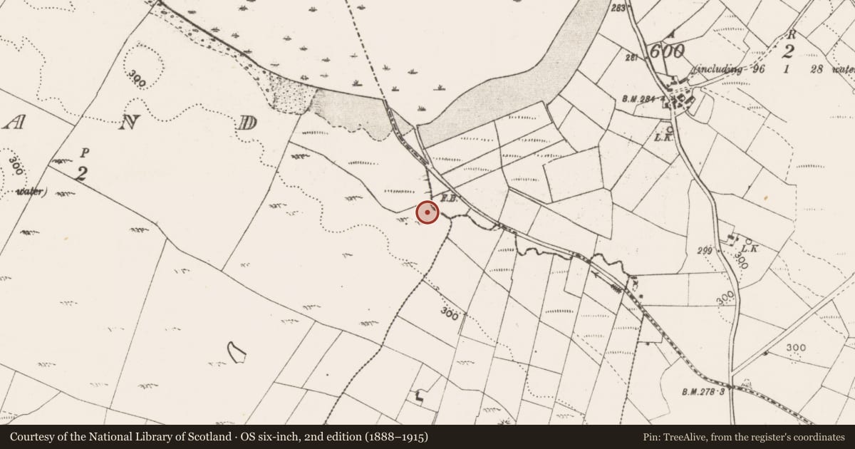 Ordnance Survey six-inch map, 2nd edition (1888–1915) covering the location of Fulacht fia, Island, County Mayo, with a pin at the register's coordinates