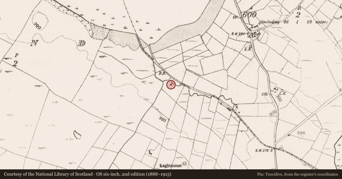 Ordnance Survey six-inch map, 2nd edition (1888–1915) covering the location of Fulacht fia, Bracklaghboy, County Mayo, with a pin at the register's coordinates