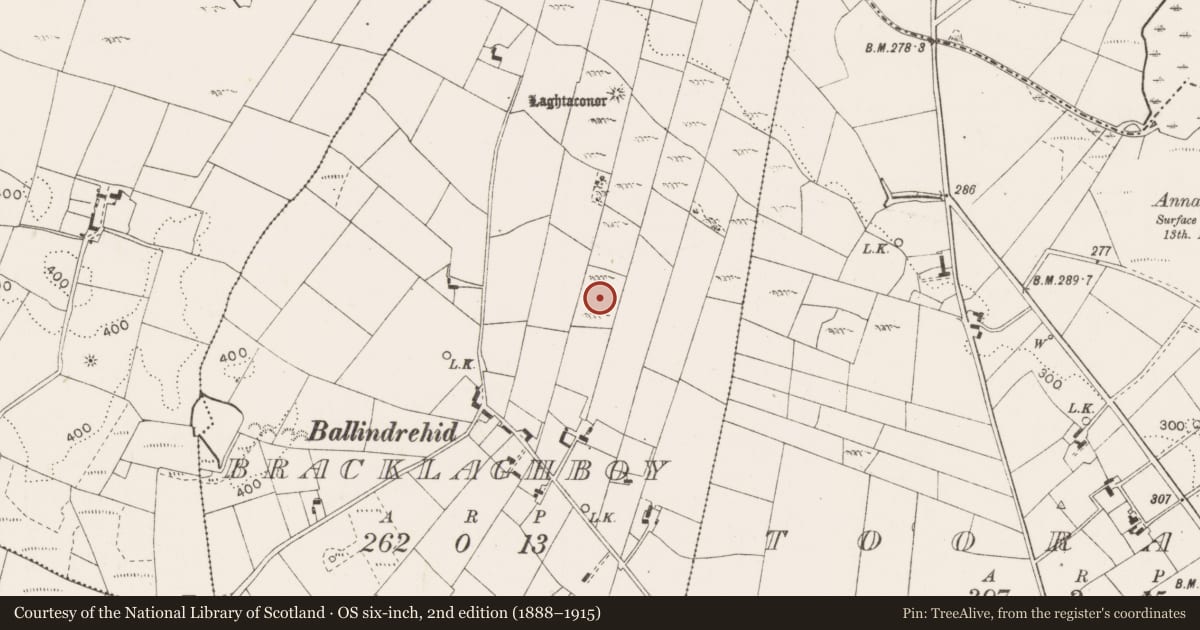 Ordnance Survey six-inch map, 2nd edition (1888–1915) covering the location of Children's burial ground, Bracklaghboy, County Mayo, with a pin at the register's coordinates