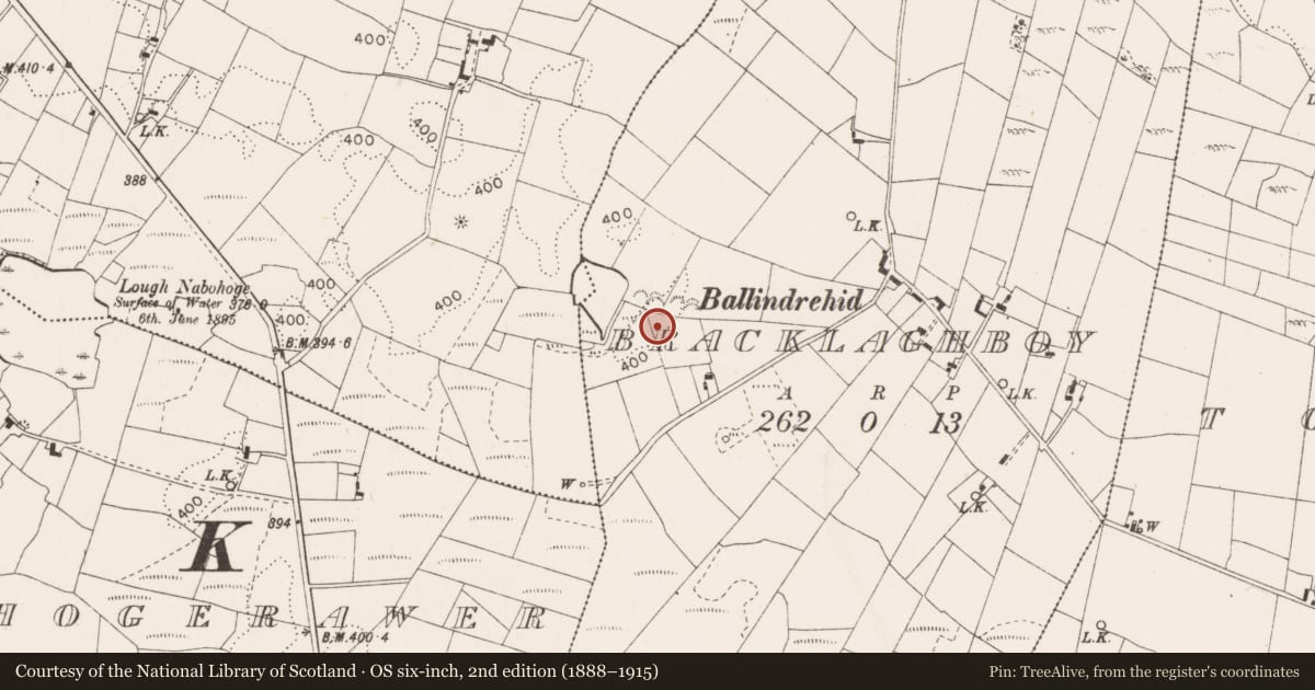 Ordnance Survey six-inch map, 2nd edition (1888–1915) covering the location of Standing stone, Bracklaghboy, County Mayo, with a pin at the register's coordinates