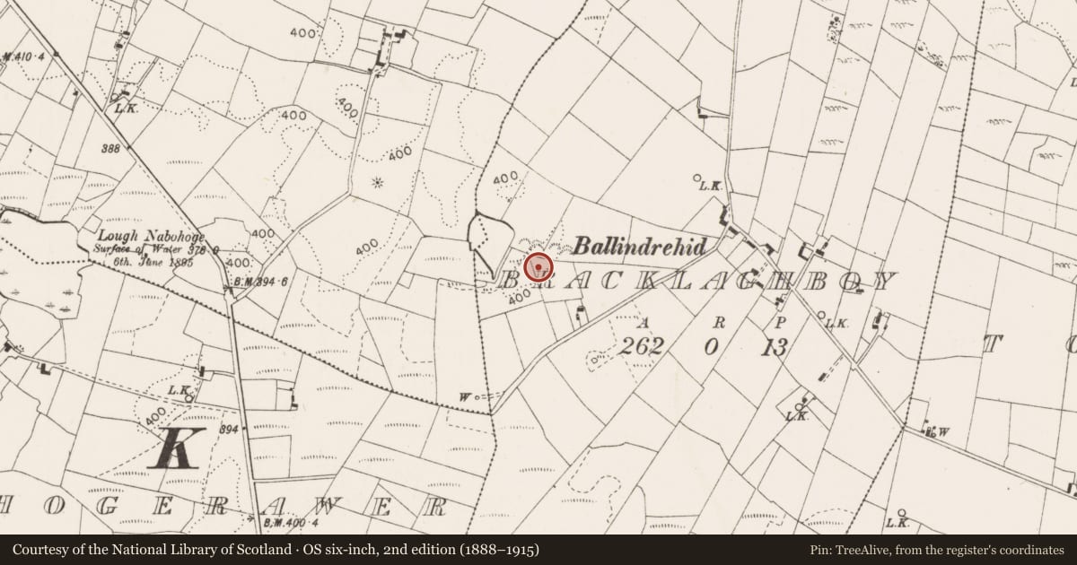 Ordnance Survey six-inch map, 2nd edition (1888–1915) covering the location of Standing stone, Bracklaghboy, County Mayo, with a pin at the register's coordinates