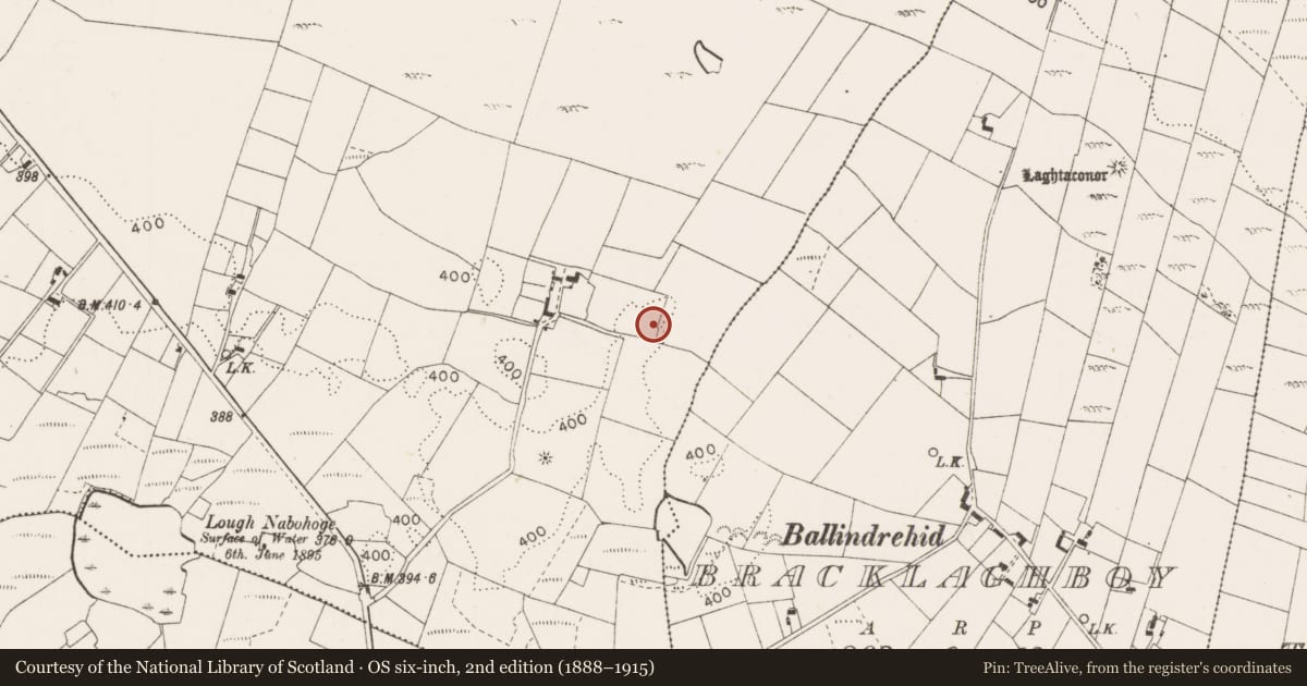 Ordnance Survey six-inch map, 2nd edition (1888–1915) covering the location of Barrow - ring-barrow, Island, County Mayo, with a pin at the register's coordinates