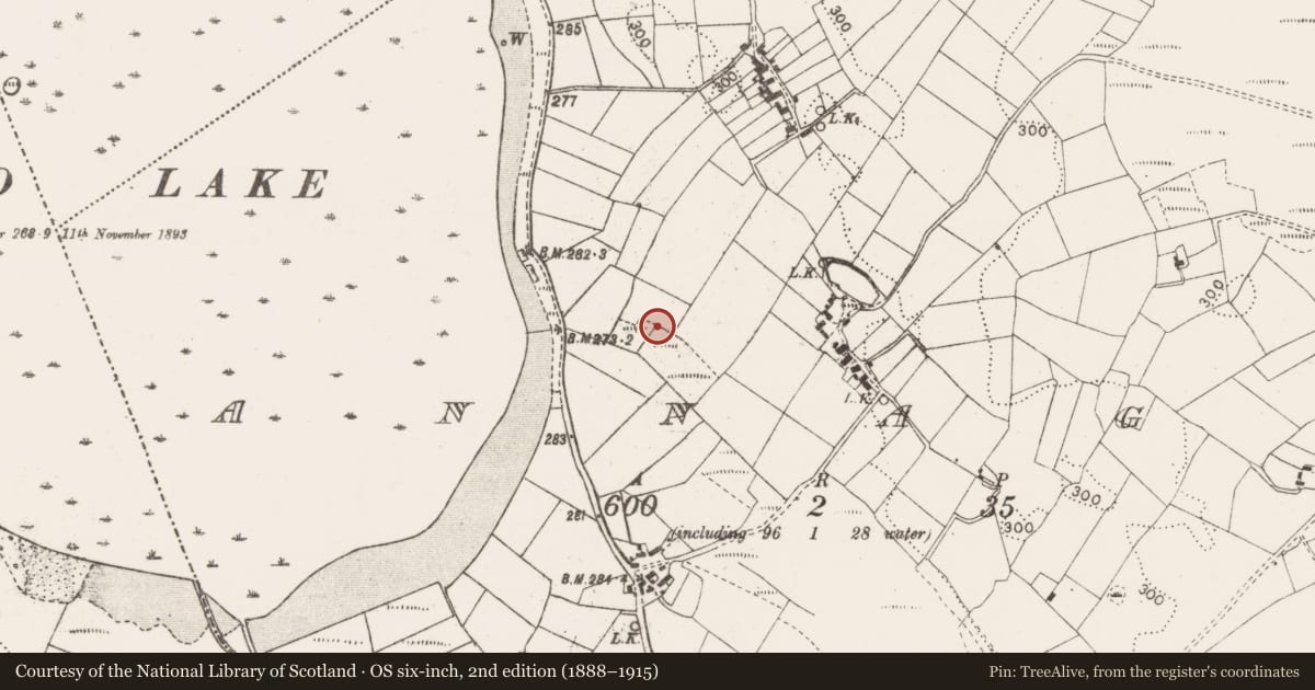 Ordnance Survey six-inch map, 2nd edition (1888–1915) covering the location of Road - unclassified togher, Annagh, County Mayo, with a pin at the register's coordinates