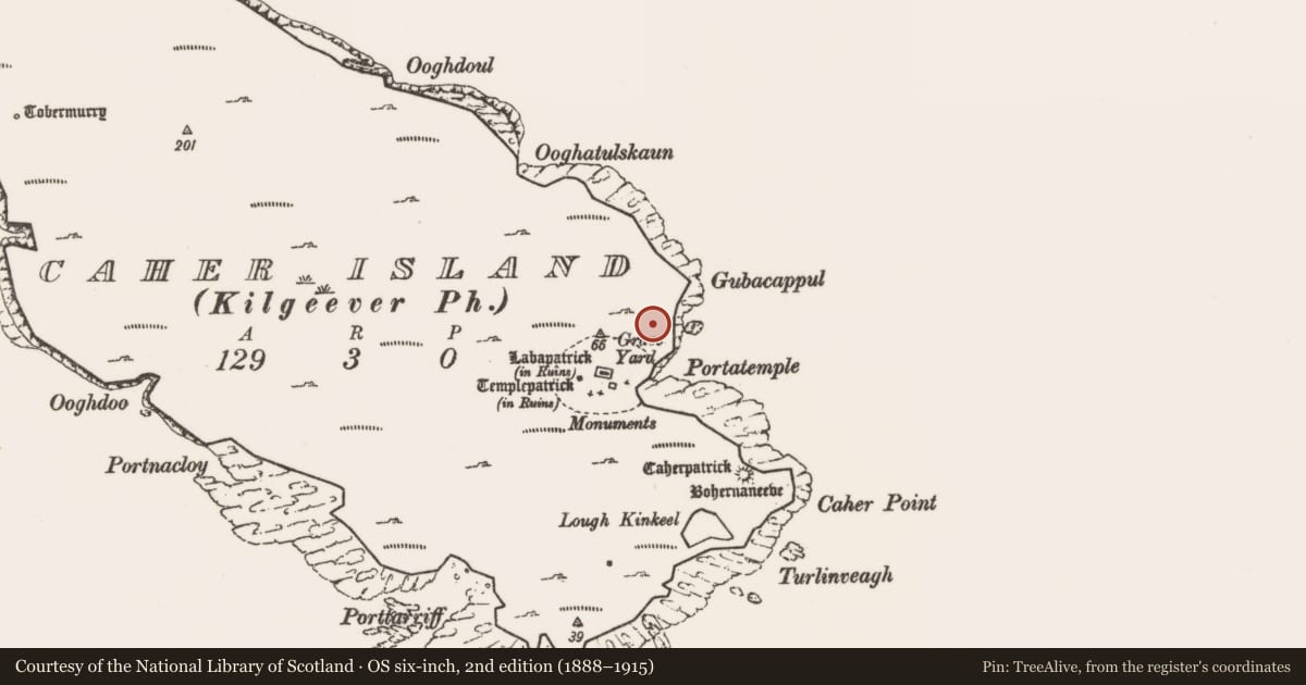 Ordnance Survey six-inch map, 2nd edition (1888–1915) covering the location of Leacht, Caher Island, County Mayo, with a pin at the register's coordinates