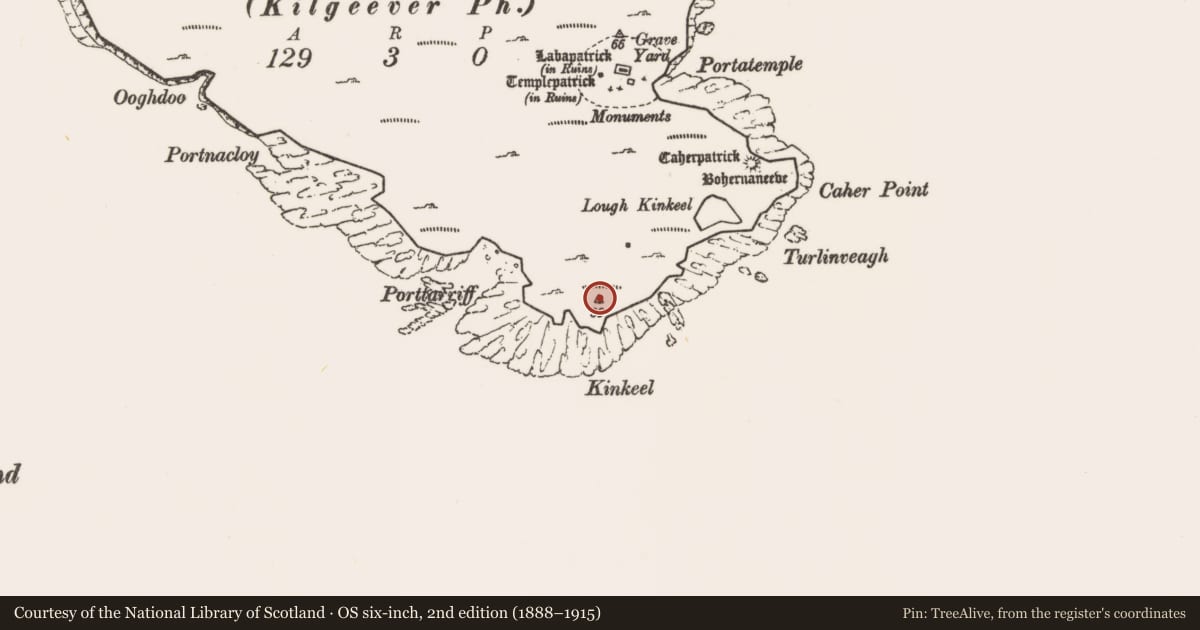 Ordnance Survey six-inch map, 2nd edition (1888–1915) covering the location of Enclosure, Caher Island, County Mayo, with a pin at the register's coordinates