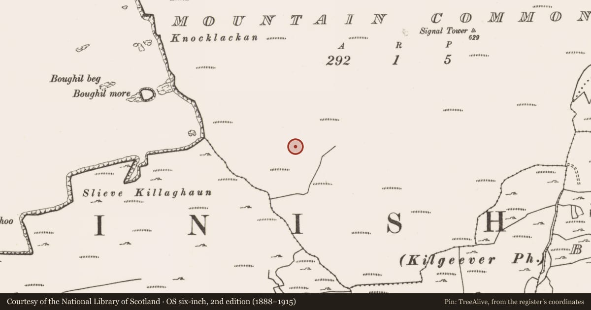 Ordnance Survey six-inch map, 2nd edition (1888–1915) covering the location of House - indeterminate date, Mountain Common, County Mayo, with a pin at the register's coordinates