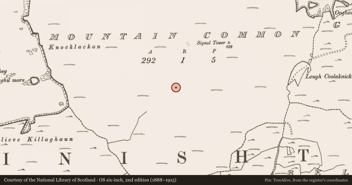 Ordnance Survey six-inch map, 2nd edition (1888–1915) covering the location of House - indeterminate date, Mountain Common, County Mayo, with a pin at the register's coordinates