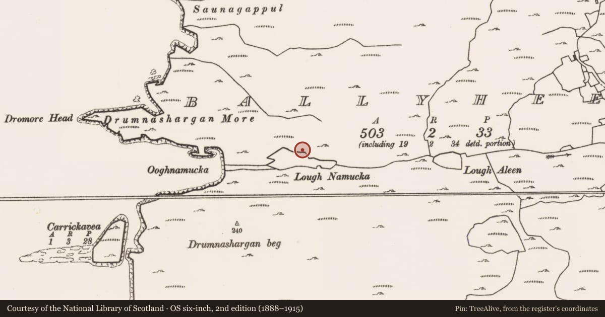 Ordnance Survey six-inch map, 2nd edition (1888–1915) covering the location of Enclosure, Ballyheer, County Mayo, with a pin at the register's coordinates