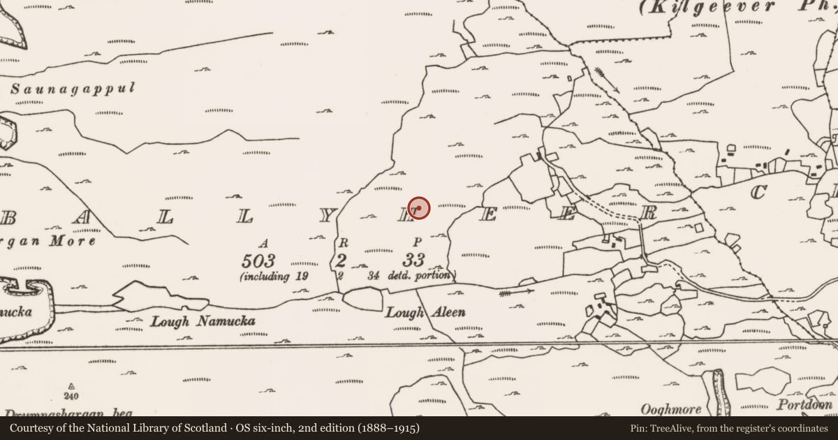 Ordnance Survey six-inch map, 2nd edition (1888–1915) covering the location of Mound, Ballyheer, County Mayo, with a pin at the register's coordinates