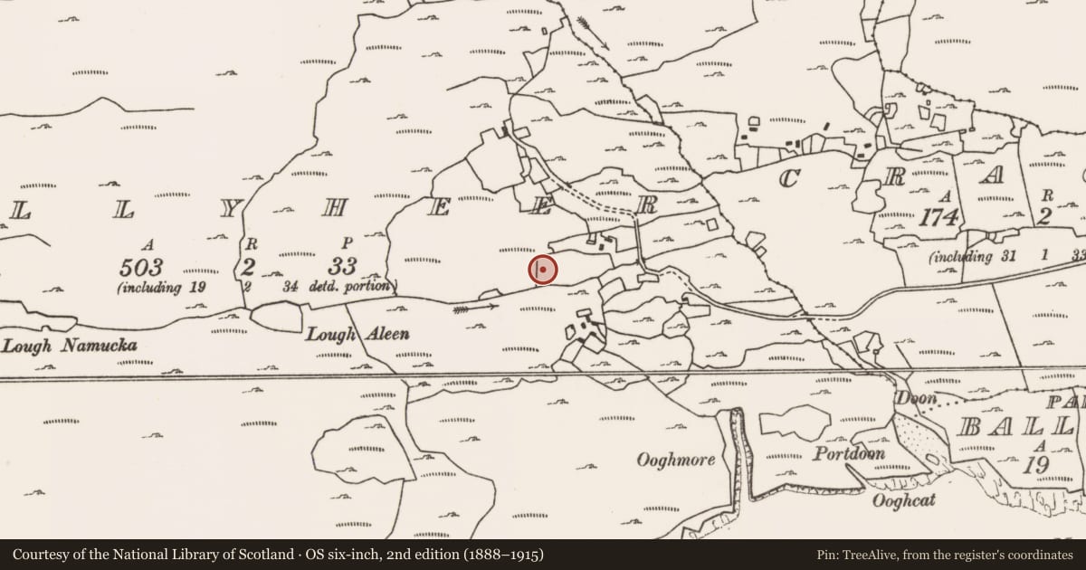 Ordnance Survey six-inch map, 2nd edition (1888–1915) covering the location of Mound, Ballyheer, County Mayo, with a pin at the register's coordinates