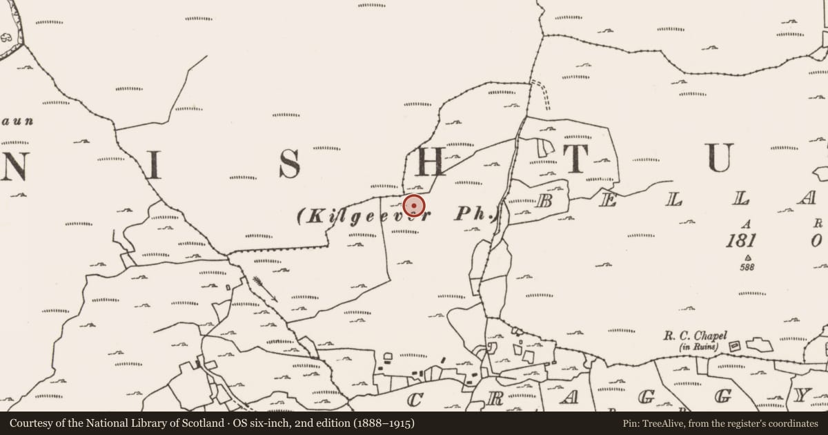 Ordnance Survey six-inch map, 2nd edition (1888–1915) covering the location of Cist, Mountain Common, County Mayo, with a pin at the register's coordinates