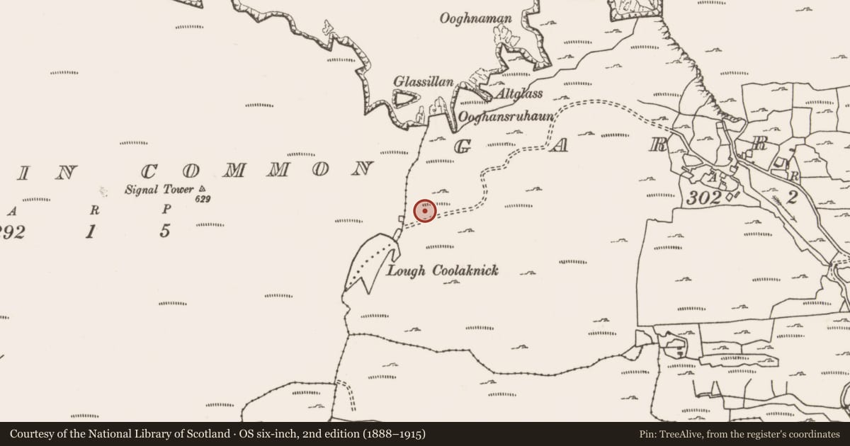 Ordnance Survey six-inch map, 2nd edition (1888–1915) covering the location of Field boundary, Garranty, Mountain Common, County Mayo, with a pin at the register's coordinates