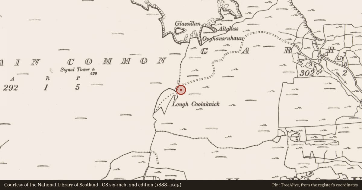 Ordnance Survey six-inch map, 2nd edition (1888–1915) covering the location of Standing stone, Garranty, County Mayo, with a pin at the register's coordinates
