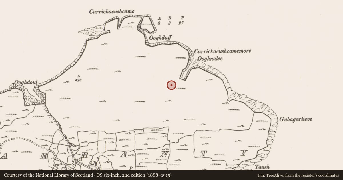 Ordnance Survey six-inch map, 2nd edition (1888–1915) covering the location of Mound, Garranty, County Mayo, with a pin at the register's coordinates