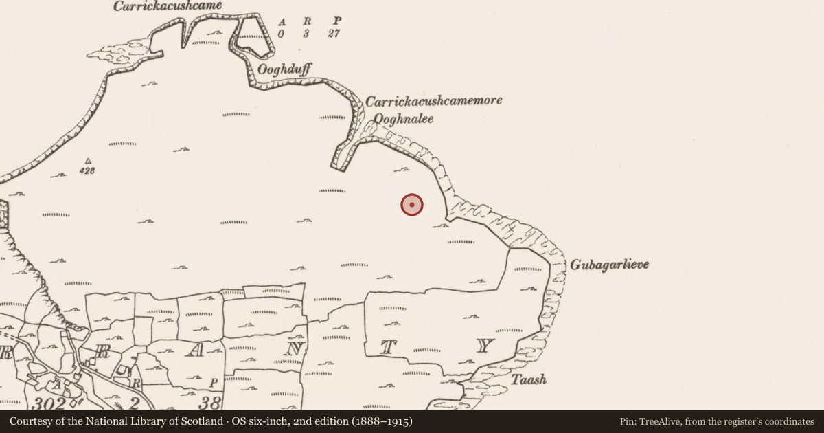 Ordnance Survey six-inch map, 2nd edition (1888–1915) covering the location of Field boundary, Garranty, County Mayo, with a pin at the register's coordinates