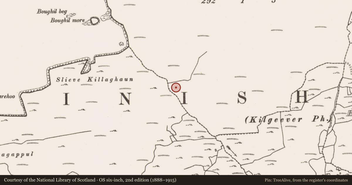 Ordnance Survey six-inch map, 2nd edition (1888–1915) covering the location of Ringfort - unclassified, Ballyheer, Mountain Common, County Mayo, with a pin at the register's coordinates