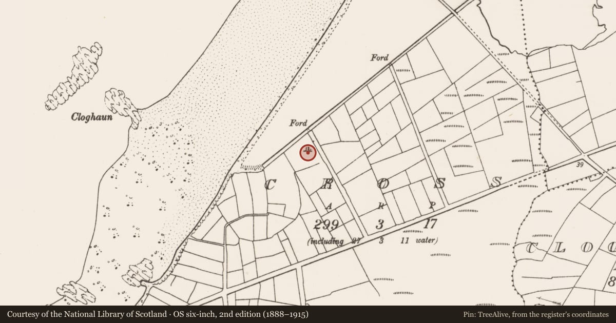 Ordnance Survey six-inch map, 2nd edition (1888–1915) covering the location of Standing stone, Cross, County Mayo, with a pin at the register's coordinates