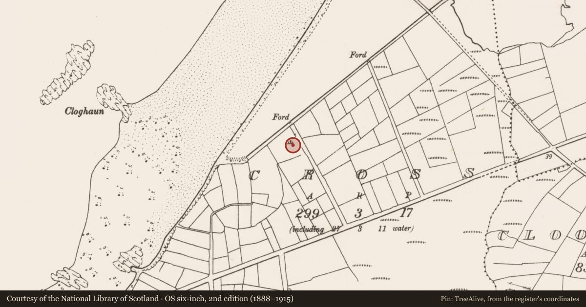 Ordnance Survey six-inch map, 2nd edition (1888–1915) covering the location of Standing stone, Cross, County Mayo, with a pin at the register's coordinates