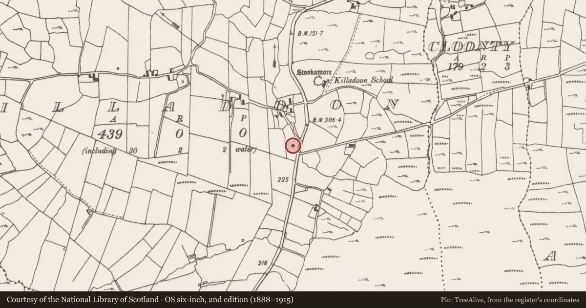 Ordnance Survey six-inch map, 2nd edition (1888–1915) covering the location of Enclosure, Killadoon, County Mayo, with a pin at the register's coordinates