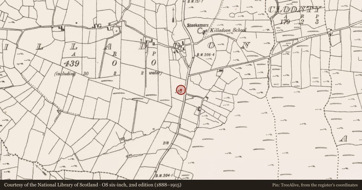 Ordnance Survey six-inch map, 2nd edition (1888–1915) covering the location of Standing stone, Killadoon, County Mayo, with a pin at the register's coordinates