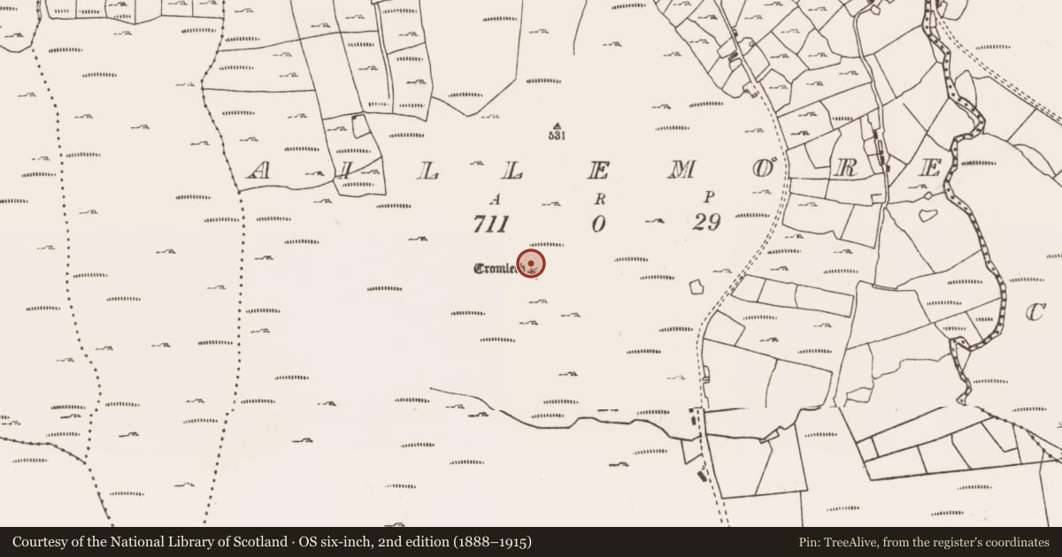 Ordnance Survey six-inch map, 2nd edition (1888–1915) covering the location of Megalithic tomb - court tomb, Aillemore, County Mayo, with a pin at the register's coordinates