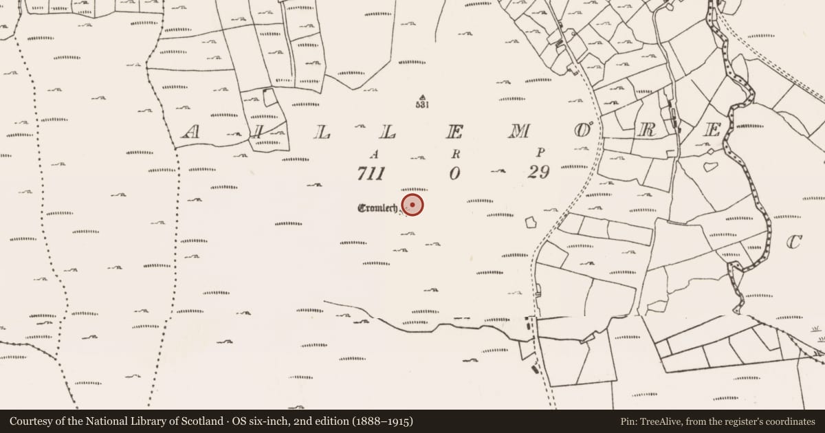 Ordnance Survey six-inch map, 2nd edition (1888–1915) covering the location of Field boundary, Aillemore, County Mayo, with a pin at the register's coordinates