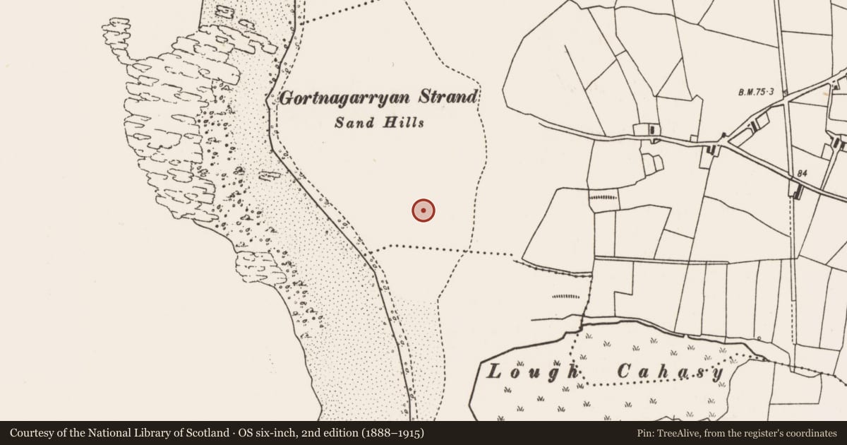 Ordnance Survey six-inch map, 2nd edition (1888–1915) covering the location of Ogham stone, Dooghmakeon, County Mayo, with a pin at the register's coordinates