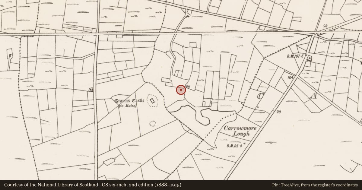 Ordnance Survey six-inch map, 2nd edition (1888–1915) covering the location of Field system, Caher, County Mayo, with a pin at the register's coordinates