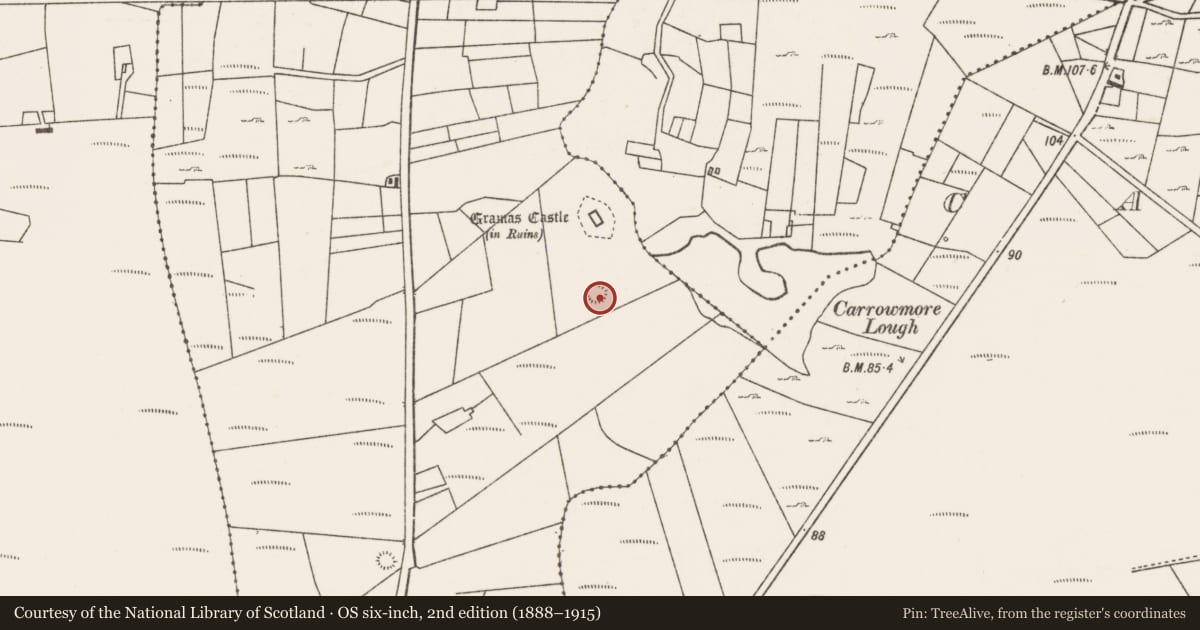 Ordnance Survey six-inch map, 2nd edition (1888–1915) covering the location of Enclosure, Carrowmore (Murrisk By., Kilgeever Par.), County Mayo, with a pin at the register's coordinates