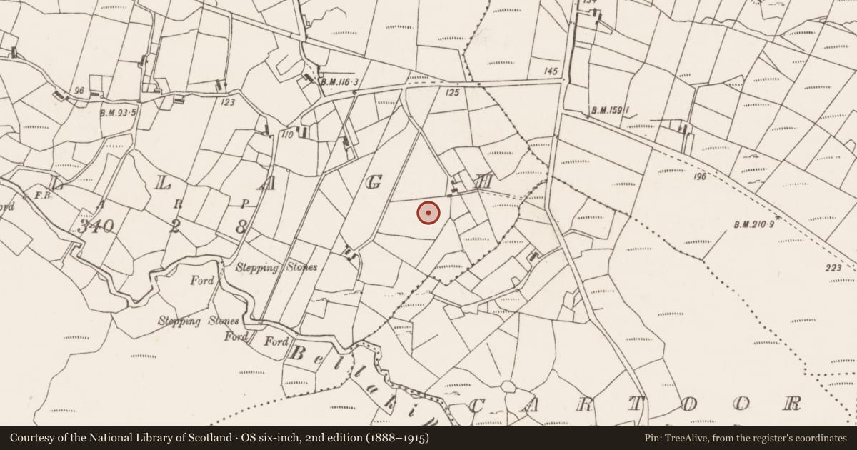Ordnance Survey six-inch map, 2nd edition (1888–1915) covering the location of Enclosure, Mullagh, County Mayo, with a pin at the register's coordinates