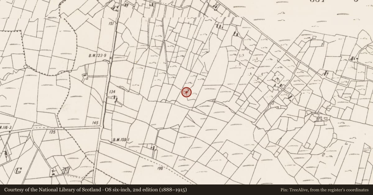 Ordnance Survey six-inch map, 2nd edition (1888–1915) covering the location of Enclosure, Cuilleen, County Mayo, with a pin at the register's coordinates