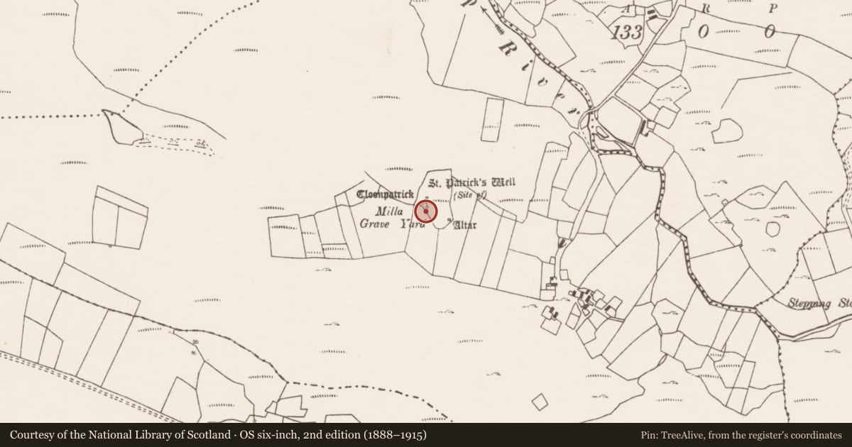 Ordnance Survey six-inch map, 2nd edition (1888–1915) covering the location of Bullaun stone, Furgill, County Mayo, with a pin at the register's coordinates