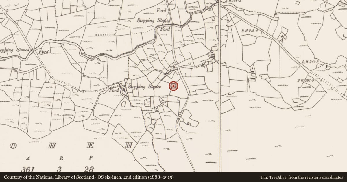 Ordnance Survey six-inch map, 2nd edition (1888–1915) covering the location of Ringfort - cashel, Durless, County Mayo, with a pin at the register's coordinates