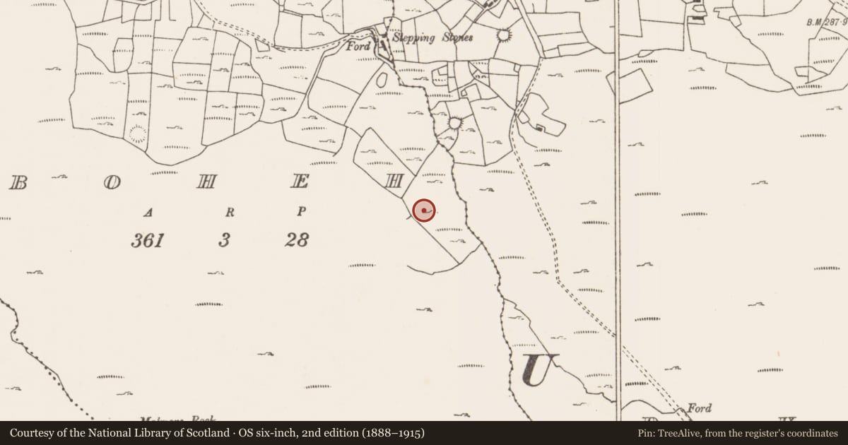 Ordnance Survey six-inch map, 2nd edition (1888–1915) covering the location of Hut site, Boheh (Murrisk By., Oughaval Par.), County Mayo, with a pin at the register's coordinates