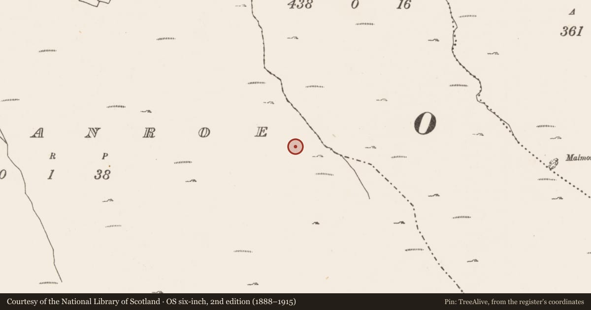 Ordnance Survey six-inch map, 2nd edition (1888–1915) covering the location of Field system, Cregganroe, County Mayo, with a pin at the register's coordinates