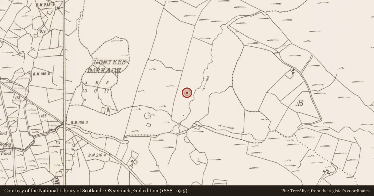 Ordnance Survey six-inch map, 2nd edition (1888–1915) covering the location of Ringfort - cashel, Glencally, County Mayo, with a pin at the register's coordinates